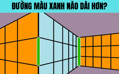 Quiz: Test ngay khả năng tập trung của bạn qua 7 ảo ảnh quang học &quot;gây lú&quot; sau đây