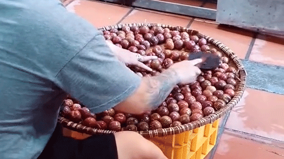 Người đàn ông có hành động lạ với những quả mận, dân tình thi nhau hỏi lý do - Ảnh 2.