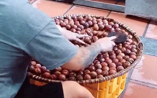 Người đàn ông có hành động lạ với những quả mận, dân tình thi nhau hỏi lý do