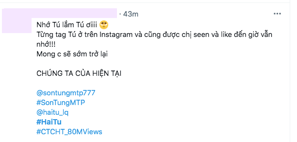 Nửa đêm nửa hôm, netizen đẩy hashtag Hải Tú lên thẳng #1 Twitter Việt Nam, chuyện gì đây? - Ảnh 8.
