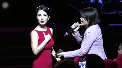 Diva Hồng Nhung hát giao lưu với 1 fan nữ, chuyện gì xảy ra khiến cô mặt xụ xuống, buồn bã thốt lên Thôi chết rồi, dại quá? - Ảnh 2.