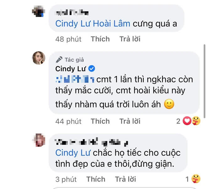 Netizen kém duyên liên tục nhắc đến chồng cũ Hoài Lâm, Cindy Lư liền nói ngay 1 câu thể hiện rõ thái độ - Ảnh 3.