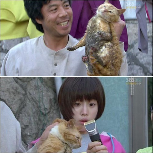 4 phim Hàn bị chỉ trích vì ngược đãi động vật: Căng nhất là màn chọi chó ở bom tấn của Lee Jun Ki - Ảnh 1.