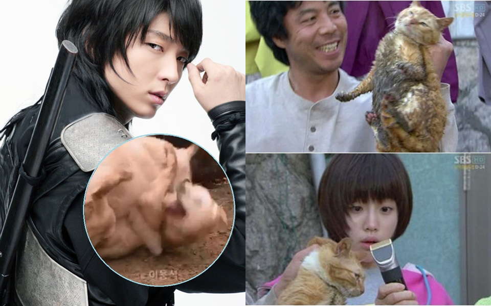 4 phim Hàn bị chỉ trích vì ngược đãi động vật: Căng nhất là màn &quot;chọi chó&quot; ở bom tấn của Lee Jun Ki