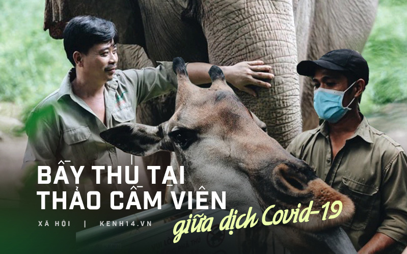 Chuyện 34 nhân viên ở lại Thảo Cầm Viên chăm sóc bầy thú giữa dịch Covid-19: "Phải cố gắng không để thú nuôi bị đói"