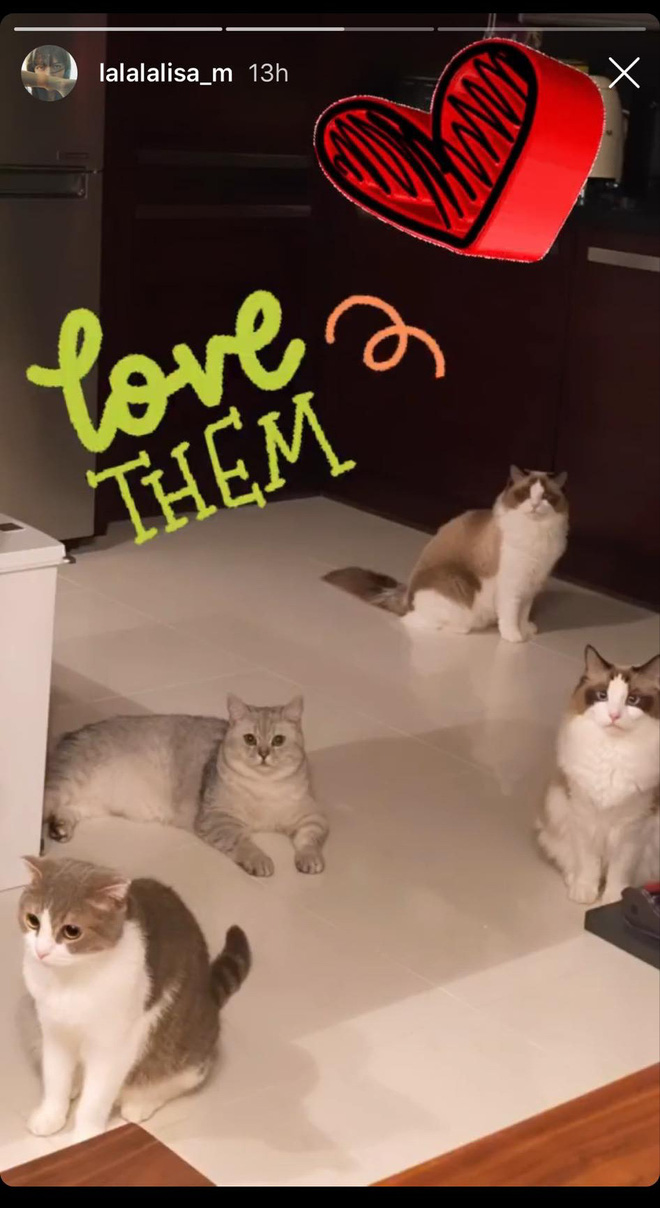 Lisa (BLACKPINK) tiết lộ lý do lập tài khoản Instagram cho L-Family, fan nghe xong chỉ muốn xỉu vì quá dễ thương - Ảnh 1.