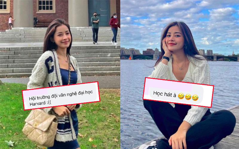 Chi Pu bảo sang Mỹ du học nhưng học gì không nói, netizen gửi lời chúc: &quot;Học thanh nhạc nha, hội trưởng đội văn nghệ Đại học Harvard&quot;