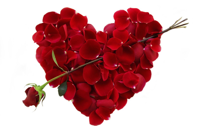 Ngày Valentine 14/2, hoa hồng và socola trở thành từ khoá được &quot;nhà nhà&quot; tìm kiếm