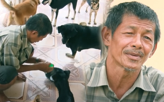 Người đàn ông 54 tuổi vô gia cư, nhặt ve chai nuôi đàn chó 30 con gây xúc động trên truyền hình
