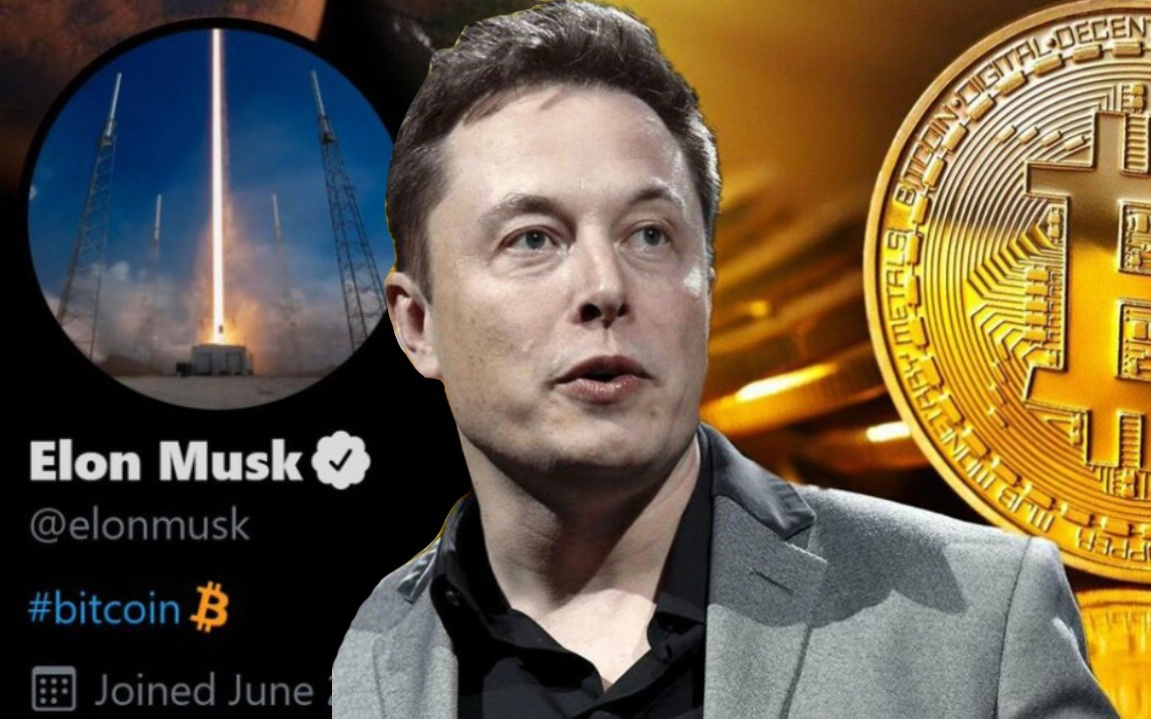 Elon Musk bất ngờ tiết lộ đang gom rất nhiều tiền số, quyết tâm không bán một đồng nào!