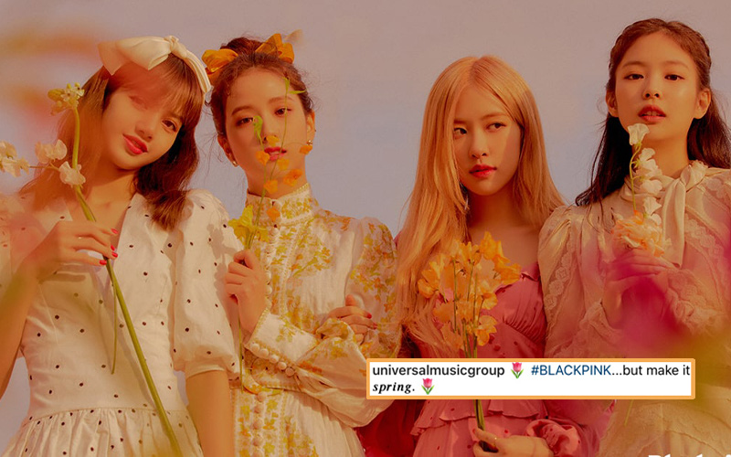 Xuất hiện bông hoa lạ khiến fan BLACKPINK &quot;than trời&quot;: Đợi tới mùa xuân 2023 mới comeback?