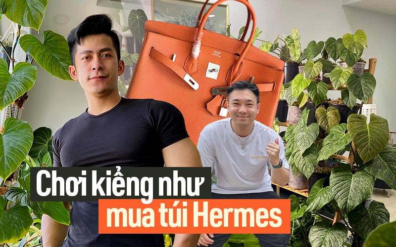 &quot;Săn&quot; lá - thú chơi đắt đỏ như mê túi Hermes: Vài trăm triệu chi ra chưa chắc đủ, đổ công vào vẫn có thể mất trắng