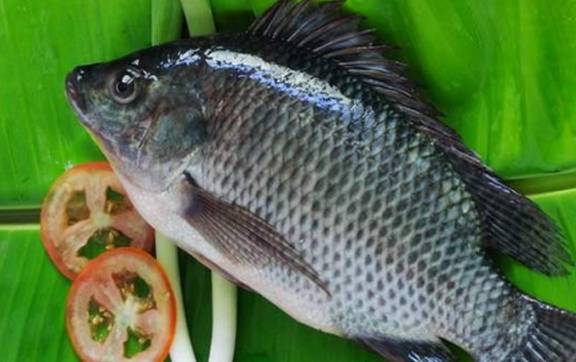 3 loại cá ăn thường xuyên có lợi cho người bị tiểu đường, giá thành rẻ mà rất giàu chất dinh dưỡng, không bị bệnh cũng nên ăn - Ảnh 4.