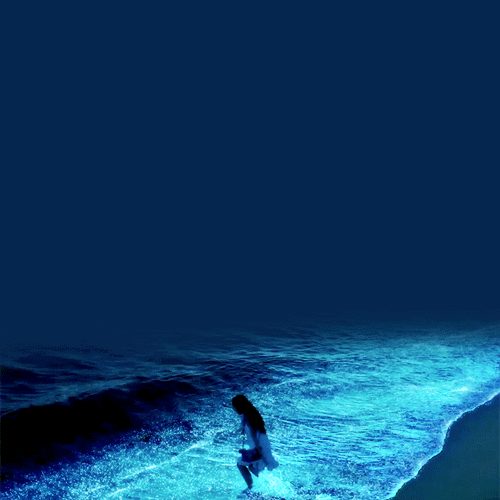 Giữa thiên đường Maldives tồn tại một bãi biển huyền ảo đến vô thực, được ví như dải Ngân hà - Ảnh 4.