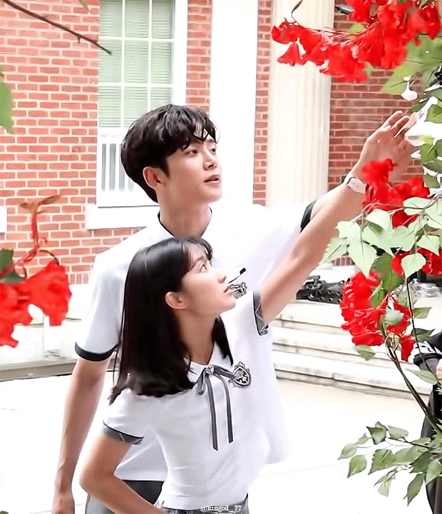 Mê mẩn 5 couple nấm lùn - khủng long của màn ảnh Hàn: Có cặp chênh tới 29cm mà vẫn đẹp đôi xỉu - Ảnh 7.