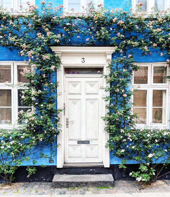 colorful-front-doors-photography-london-bella-foxwell-52-5c36fa45f3fa1700-16630369535761479456671.jpg