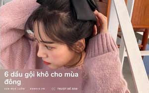 6 dầu gội khô 