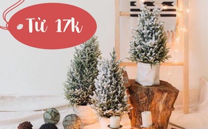 Đón Noel hệ 