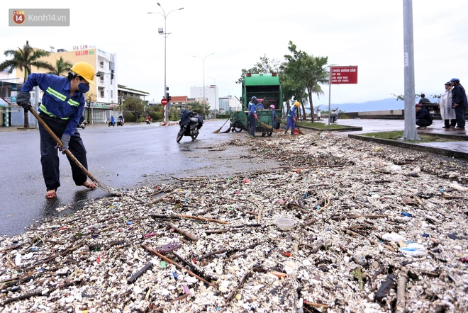 Chùm ảnh: 3.000 tấn rác dạt vào bãi biển Đà Nẵng sau bão số 13 - Ảnh 12.