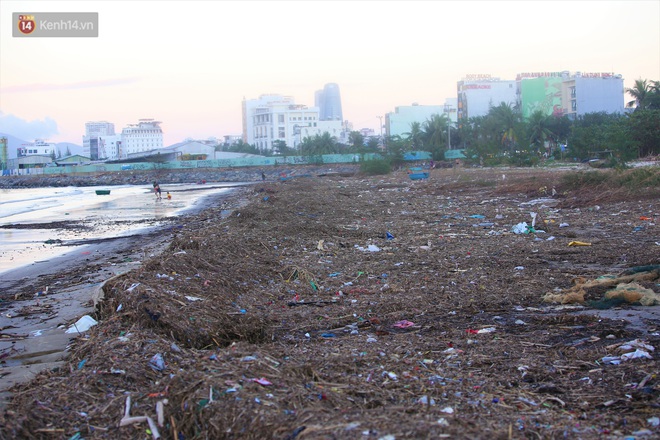 Chùm ảnh: 3.000 tấn rác dạt vào bãi biển Đà Nẵng sau bão số 13 - Ảnh 6.