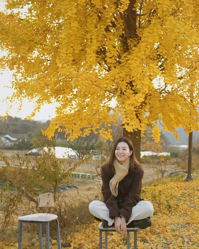 Seulgi (Red Velvet) thu về triệu tim chỉ nhờ bộ ảnh lá vàng mùa Thu, netizen tưởng hình tạp chí nhưng sự thật lại gây ngỡ ngàng - Ảnh 3.