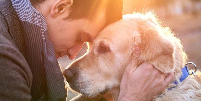Câu chuyện cảm động về những chú chó trung thành nhất mọi thời đại khiến hàng triệu người không cầm được nước mắt - Ảnh 3.
