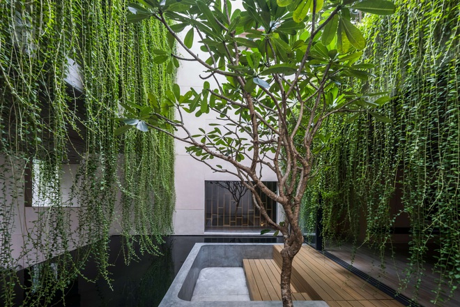 Mất 4 năm hoàn thiện, căn villa ở Sài Gòn xanh mướt như một khu rừng nhỏ, đi vào bên trong càng mê - Ảnh 17.