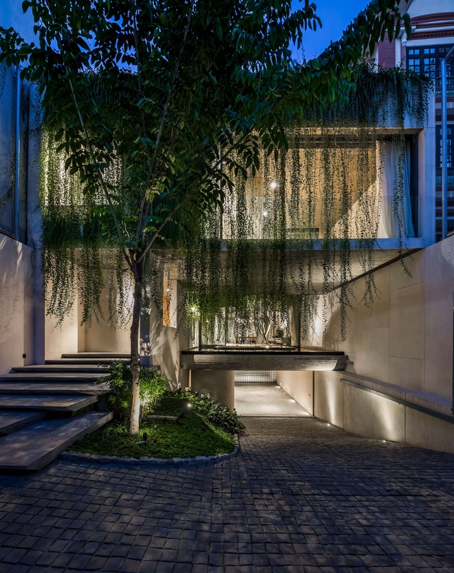 Mất 4 năm hoàn thiện, căn villa ở Sài Gòn xanh mướt như một khu rừng nhỏ, đi vào bên trong càng mê - Ảnh 3.