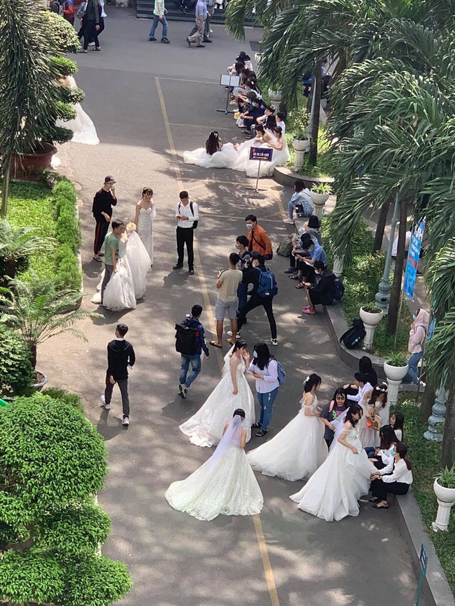 Trường ĐH xuất hiện hàng loạt nữ sinh mặc váy cưới, dân tình rủ nhau lập team đến để được phát cô dâu - Ảnh 2.