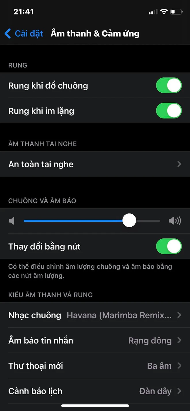 Cách bật cảnh báo tiếng ồn trên iPhone, tránh bị đau tai khi nghe nhạc quá lớn - Ảnh 2.