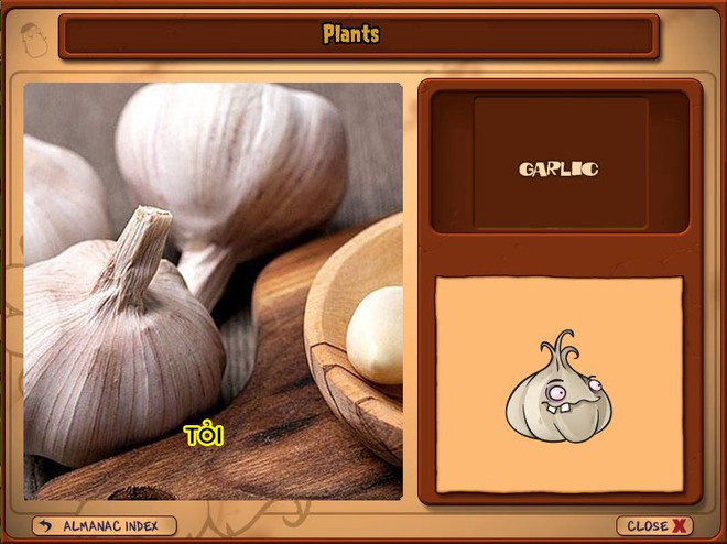 Nhà ai cũng 3 đời cày Plants vs Zombies nhưng chẳng ai biết hết những loại cây trong game này! - Ảnh 23.