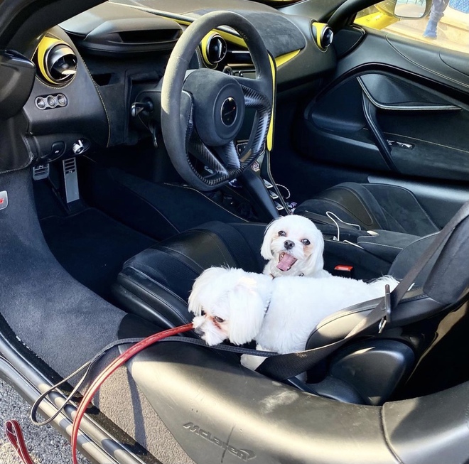 Hermes của hội phú bà fake chỉ là vay mượn, nhưng Ferrari của hội rich dog dưới đây lại không hề giả trân chút nào - Ảnh 6.