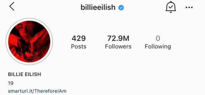 Billie Eilish mất 100.000 followers chỉ sau 1 đêm vì đăng ảnh nude nhạy cảm, phản ứng sau đó còn gây xôn xao hơn - Ảnh 4.