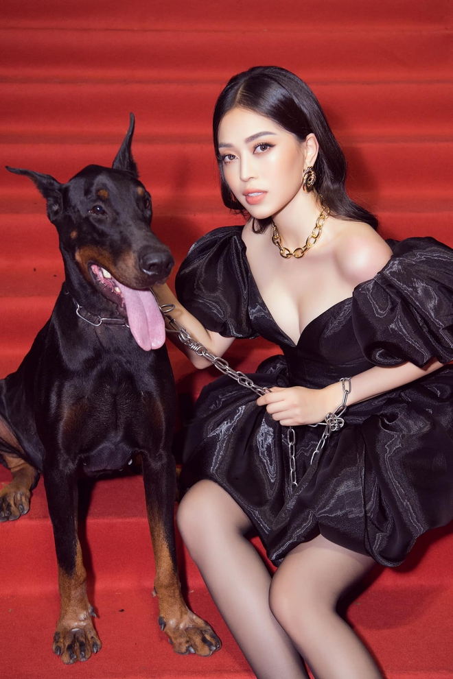 Gây tranh cãi vì mang chó không đeo rọ mõm lên thảm đỏ, Phương Nga chính thức lên tiếng giải thích - Ảnh 5.
