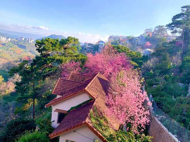 Rời Sài Gòn, cặp vợ chồng lên Đà Lạt xây ngôi nhà hướng mặt ra thung lũng, nhìn vườn hoa đào đẹp như cổ tích mà mê mệt - Ảnh 1.