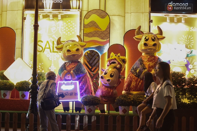 Gia đình trâu ngộ nghĩnh xuống phố Sài Gòn đón Tết Tân Sửu 2021 khiến nhiều người thích thú - Ảnh 6.