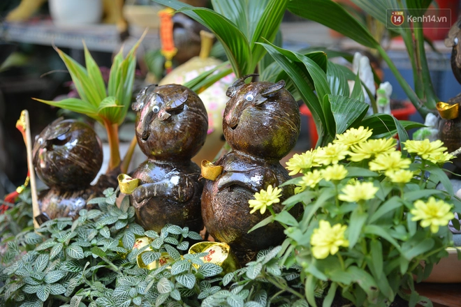 Độc đáo dừa bonsai hình con trâu khiến người Sài Gòn bỏ hàng triệu đồng mua chơi Tết Tân Sửu 2021 - Ảnh 14.