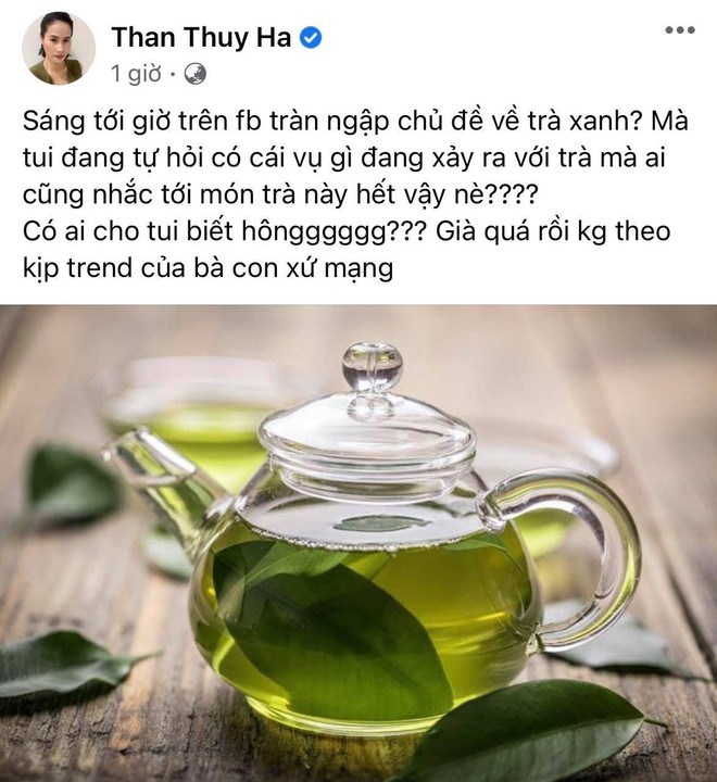 Dàn sao Vbiz đồng loạt đăng status về “trà xanh” sau drama Tùng - Trâm: Thái Trinh gợi nhớ chuyện cũ, Trà Ngọc bỗng bị tấn công - Ảnh 10.