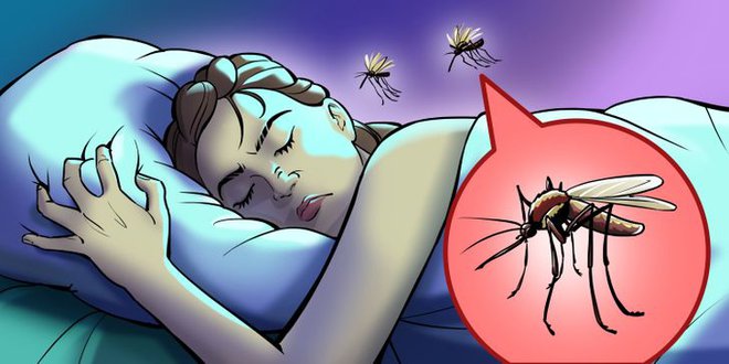 Hóa ra đây là lý do tại sao muỗi luôn vo ve ở bên tai chúng ta và cách cực đơn giản để giải quyết sự khó chịu này - Ảnh 1.
