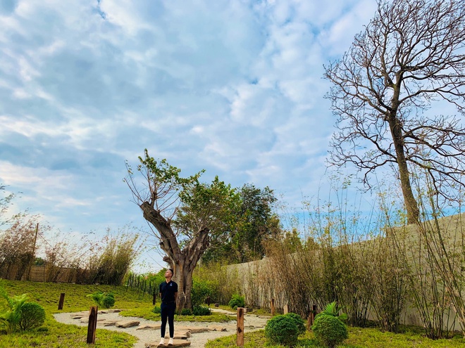 Vườn Zen - Điểm đến mới nhận khách vào bằng… cây - Ảnh 4.