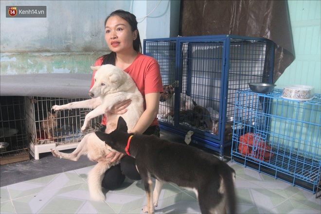 Người phụ nữ bán nhà để được làm “mẹ” của hàng trăm chú chó mèo bị bỏ rơi ở Đà Nẵng - Ảnh 10.