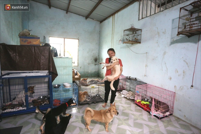 Người phụ nữ bán nhà để được làm “mẹ” của hàng trăm chú chó mèo bị bỏ rơi ở Đà Nẵng - Ảnh 3.
