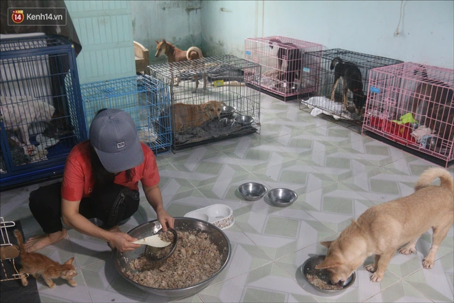 Người phụ nữ bán nhà để được làm “mẹ” của hàng trăm chú chó mèo bị bỏ rơi ở Đà Nẵng - Ảnh 6.
