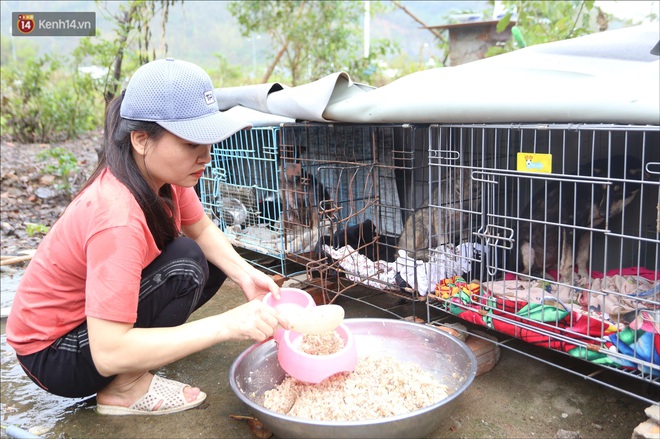 Người phụ nữ bán nhà để được làm “mẹ” của hàng trăm chú chó mèo bị bỏ rơi ở Đà Nẵng - Ảnh 7.
