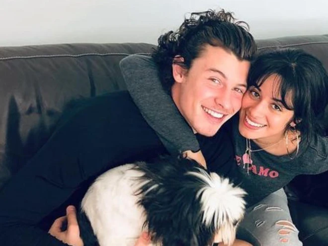 Hé lộ lí do Shawn Mendes và Camila Cabello chia tay sau 2 năm, tình tiết thế nào mà ai cũng ngán ngẩm? - Ảnh 3.