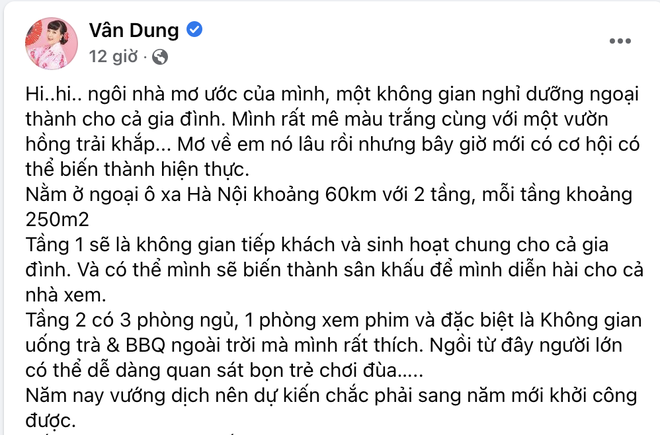 Choáng với biệt thự bề thế như toà lâu đài, có hồ bơi riêng, giá hàng chục tỷ của Táo y tế Vân Dung - Ảnh 2.