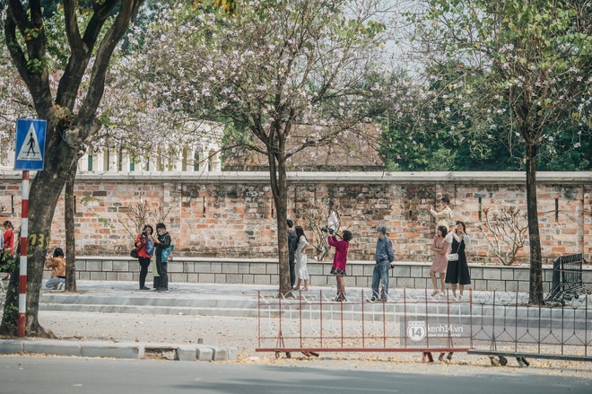 Hà Nội đẹp mê mẩn trong sắc tím hoa ban rợp trời, dân tình rần rần rủ nhau về con đường nổi tiếng chụp ảnh - Ảnh 3.