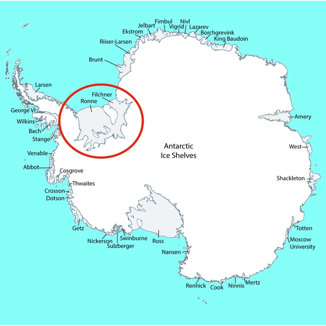 GoPro giúp các nhà khoa học tìm ra 12 loài động vật chưa từng được biết đến dưới lớp băng ở Nam Cực - Ảnh 9.