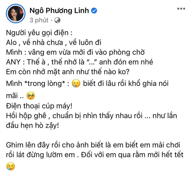 Linh Rin kể chuyện bị Phillip Nguyễn dỗi đến tắt điện thoại, tưởng biến căng ai ngờ phát “cẩu lương” trá hình - Ảnh 2.
