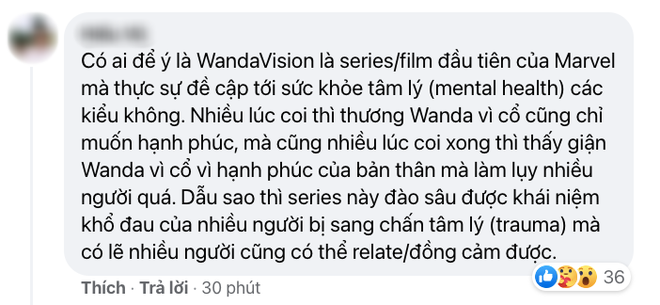 Netizen Việt bùng nổ vì WandaVision tập 8: Cảm động muốn khóc, tình tiết chấn động không thể ngờ! - Ảnh 13.